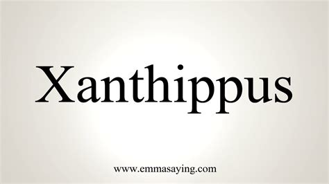 How To Pronounce Xanthippus - YouTube