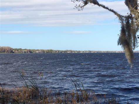 Windy Day On Lake Tarpon Today!