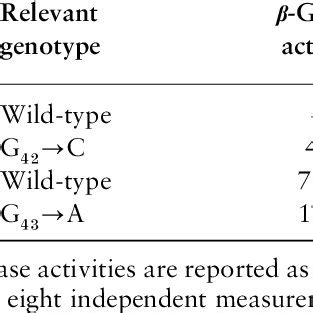 β-Galactosidase activity | Download Table