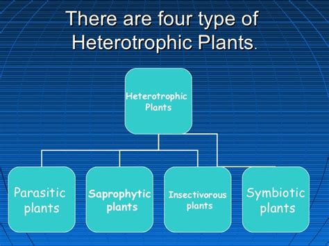 Heterotrophic nutrition