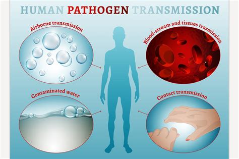 Disease transmission Image | Healthcare Illustrations ~ Creative Market