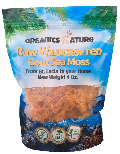 Buy Organic Irish Sea Moss Gel Online | Raw Irish Sea Moss – Organics Nature