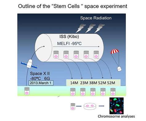 ISS experiments reveal risks for future human space flights