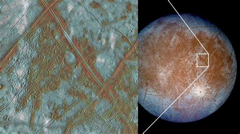 Alien life on Europa? Jupiter's moon may contain evidence of extraterrestrial life | World News ...