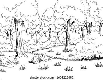 Forest Sketch Color Photos, Images & Pictures | Shutterstock