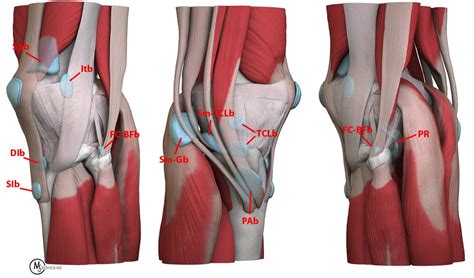 Figure3 | Radsource