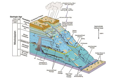 Limestone Caves Diagram