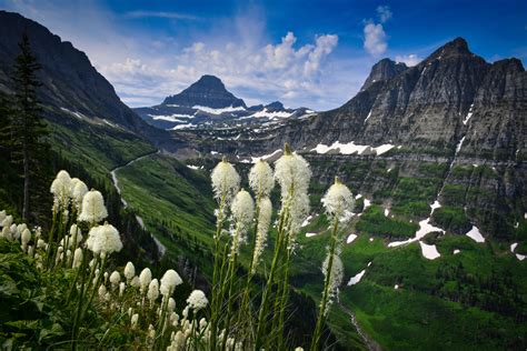 15 Scenic Trails for Hiking in Montana - Midwest Explored