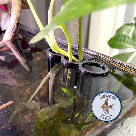 Aquaponics Aquarium Plant Holder 1 Plant Opening Great - Etsy