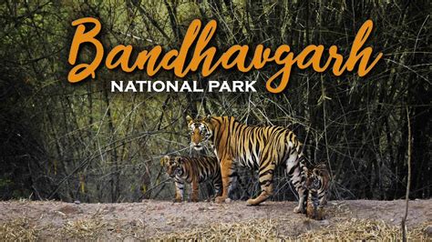 Bandhavgarh National Park - Wordzz