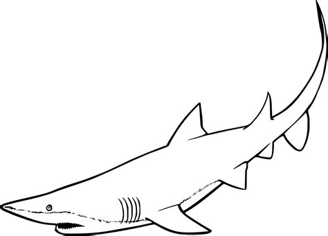 Swimming Great White Shark Coloring Pages - Coloring Cool
