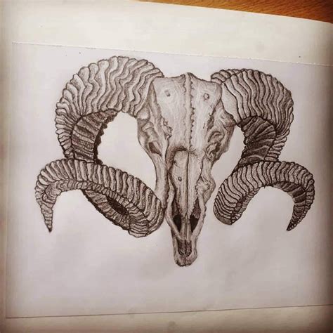 Ram skull by WinterWarrior93 on DeviantArt