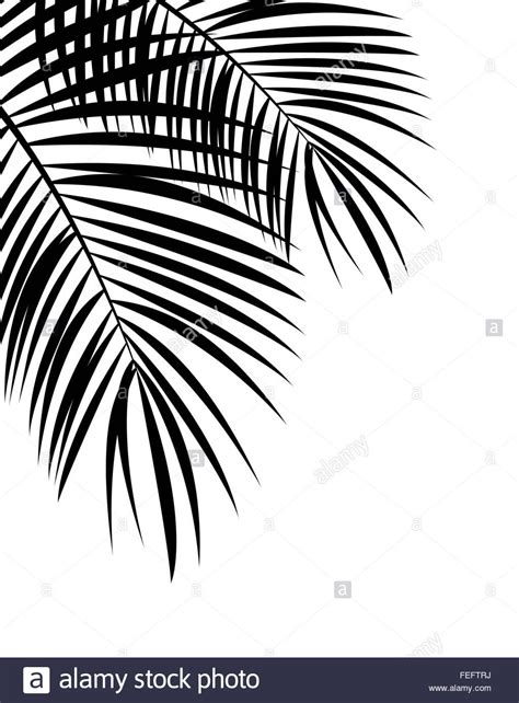 Palm Leaf Vector Background Illustration Stock Photo Tropical Art, Tropical Leaves, Palm Tree ...