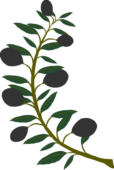 Olive Branch Pictures - ClipArt Best