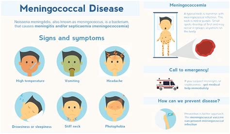 Meningococcemia contagious and fatal: Know the symptoms and be protected | BusinessMirror