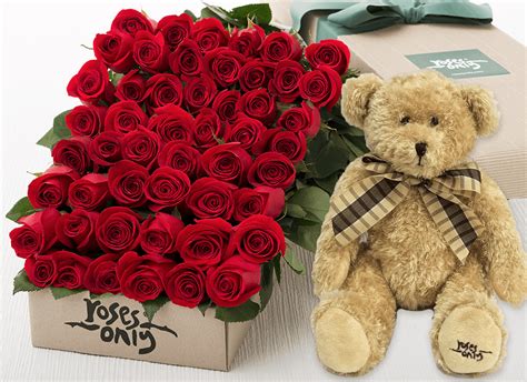 48 Red Roses gift Box & Teddy Bear | Roses Only