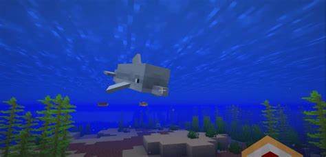 How To Tame A Dolphin In Minecraft?