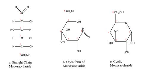 7.3: Cyclic Structures of Monosaccharides - Chemistry LibreTexts