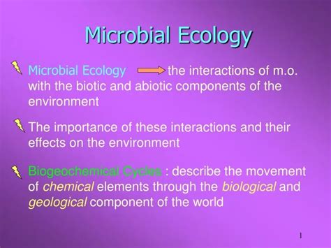 PPT - Microbial Ecology PowerPoint Presentation, free download - ID:9532438