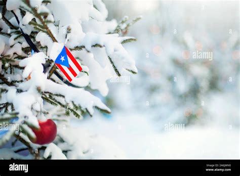 Christmas Puerto Rico. Xmas tree covered with snow, decorations and a ...