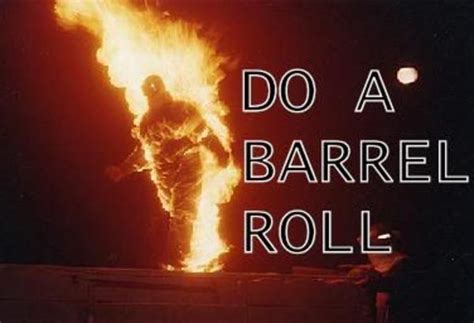 [Image - 30444] | Do A Barrel Roll | Know Your Meme