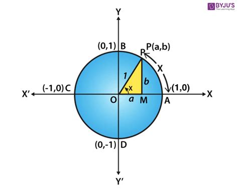 Value of Cos 180 Degrees- Know Value of Cosine Pi (π) With Derivation