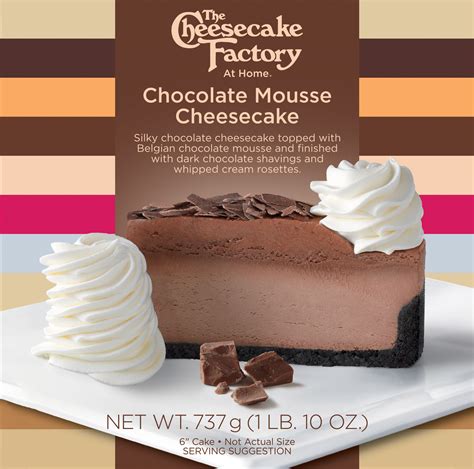 Chocolate Mousse Cheesecake - Coveted Cakes