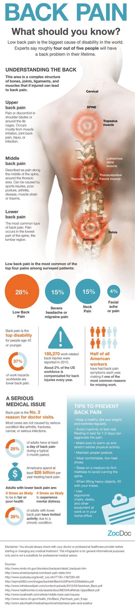 [INFOGRAPHIC] Chronic Back Pain: What you Should Know - Comprehensive ...