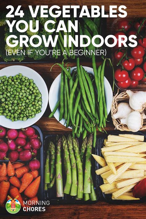 24 Newbie-Friendly Vegetables You Can Easily Grow Indoors