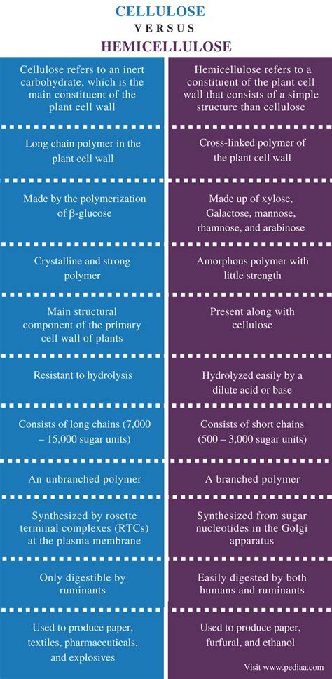 Difference Between Cellulose and Hemicellulose | Definition, Structure, Composition, Function ...