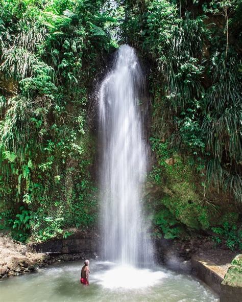 Travel Saint Lucia on Instagram: “🍃Saint Lucia is known for its mesmerizing waterfalls, largely ...