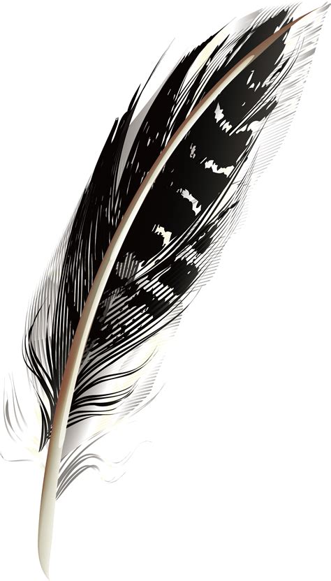 Feather - A black pattern feathers png download - 1488*2612 - Free Transparent Feather png ...