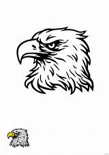 Eagle Head Coloring Pages sketch template