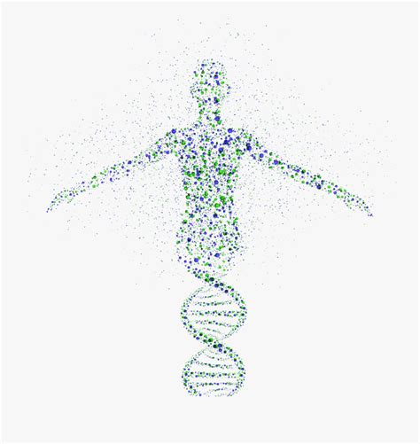 Genomics Genetic Testing Genetics Dna Free Clipart - Human Genome ...