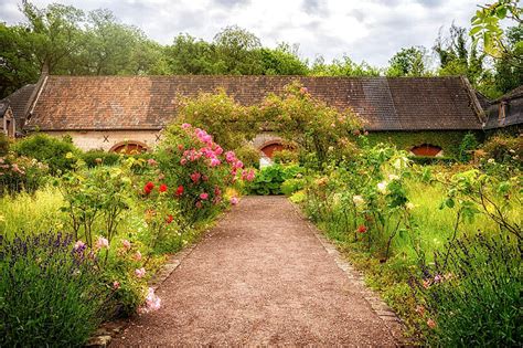 Kräuterbeet anlegen ️ Ordnung halten im Kräutergarten - Kräuter und ...