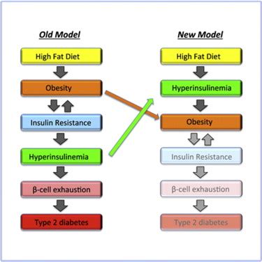 Hyperinsulinemia Drives Diet-Induced Obesity Independently of Brain ...