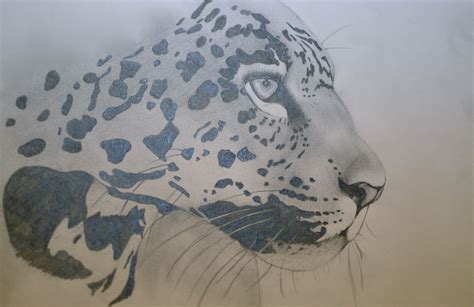 leopard, pencil drawing | Pencil drawings, Drawings, Humanoid sketch