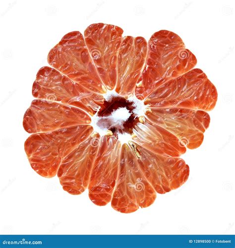 Citrus with Seeds Macro Closeup Stock Photo - Image of diet, grapefruit ...