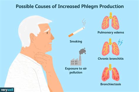 What Causes Increased Phlegm Production at Lottie Cornish blog