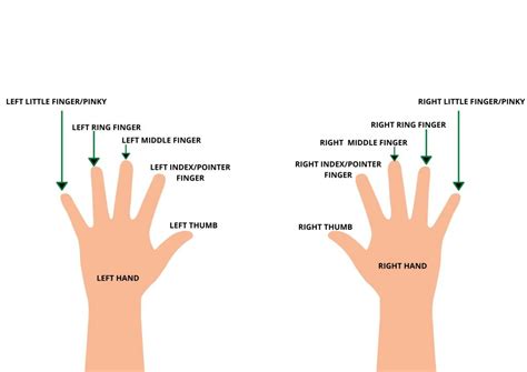 What's the Meaning of Wearing a Ring on a Ring Finger? - SenseOrient