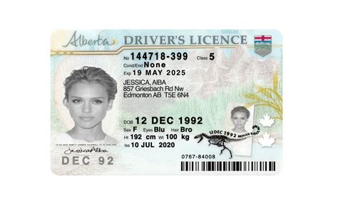 Canada-Alberta Driver License PSD Template - Fakedocshop