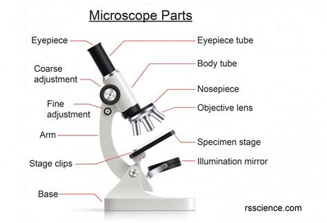 13 Tips You Should Know about Taking Care of Your Microscope - Rs' Science