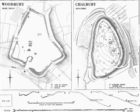 Hill-Forts | British History Online