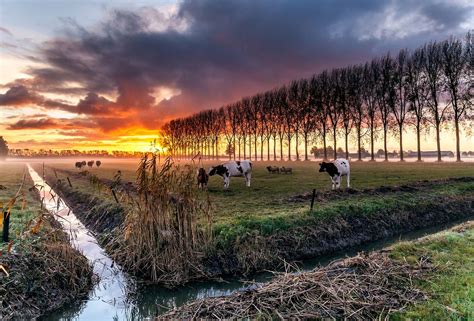 Gods Creation, Holland, Dutch, Farmland, Vineyard, Sunrise, Landscape ...