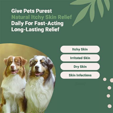 Itchy Skin Relief Spray for Dogs, Cats & Pets | Pets Purest