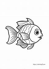 Fish Coloring Page For Preschool  Free Sheet sketch template