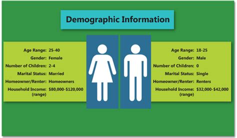 What is Target Demographics Information & Data in B2B Segment