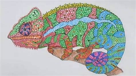 Realistic Chameleon Drawing