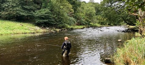 Fly Fishing On The River Wharfe, Burnsall, North Yorkshire - Mitre Angling Club