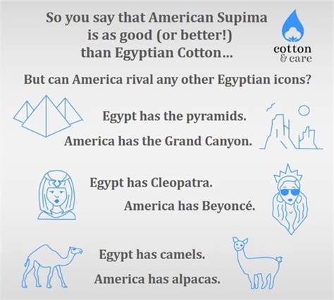 Pima Cotton vs. Egyptian Cotton: What Is The Best Cotton In The World ...